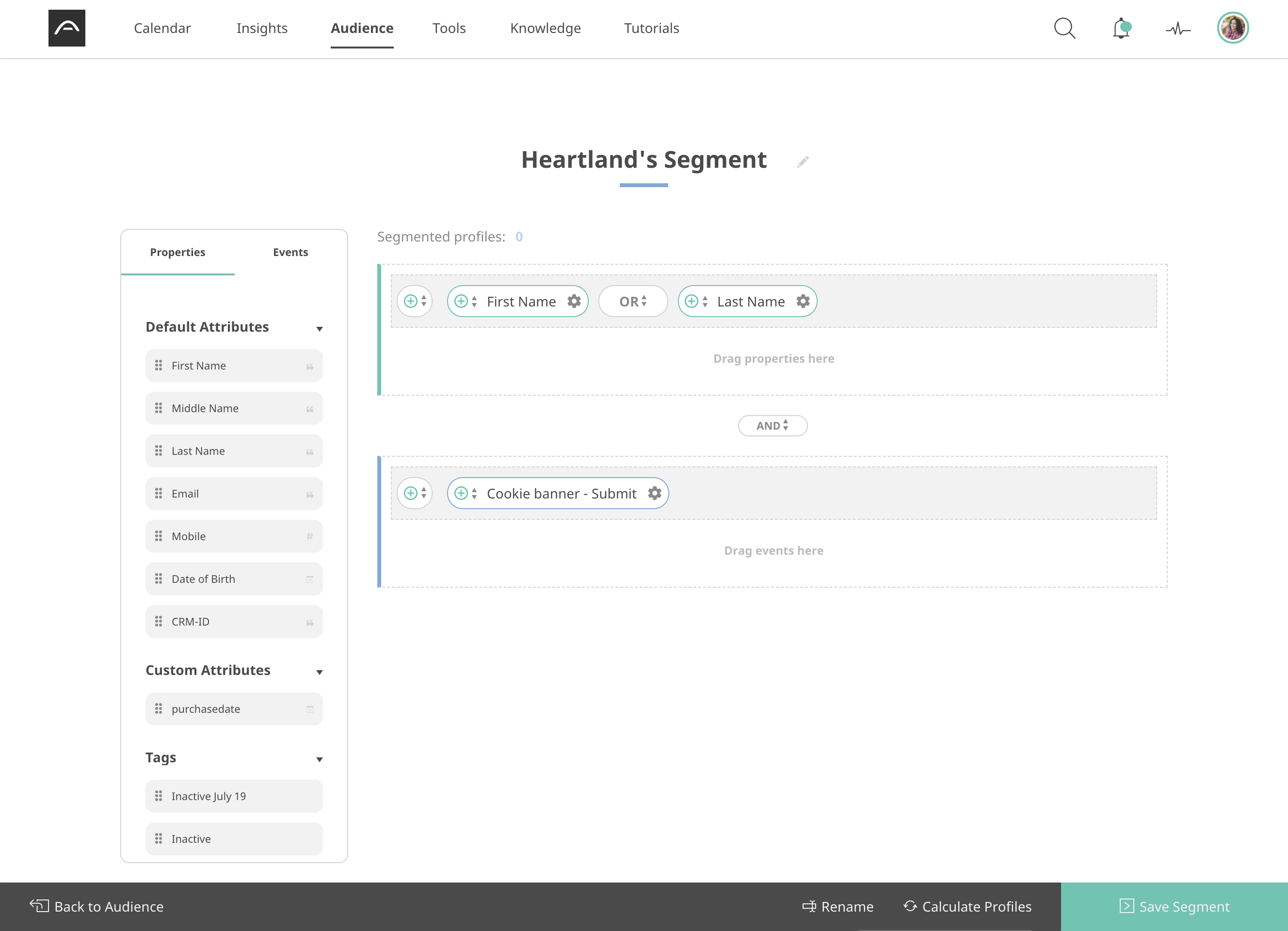 Segmentering och kundprofiler, en screenshot ur platformen Apsis One.