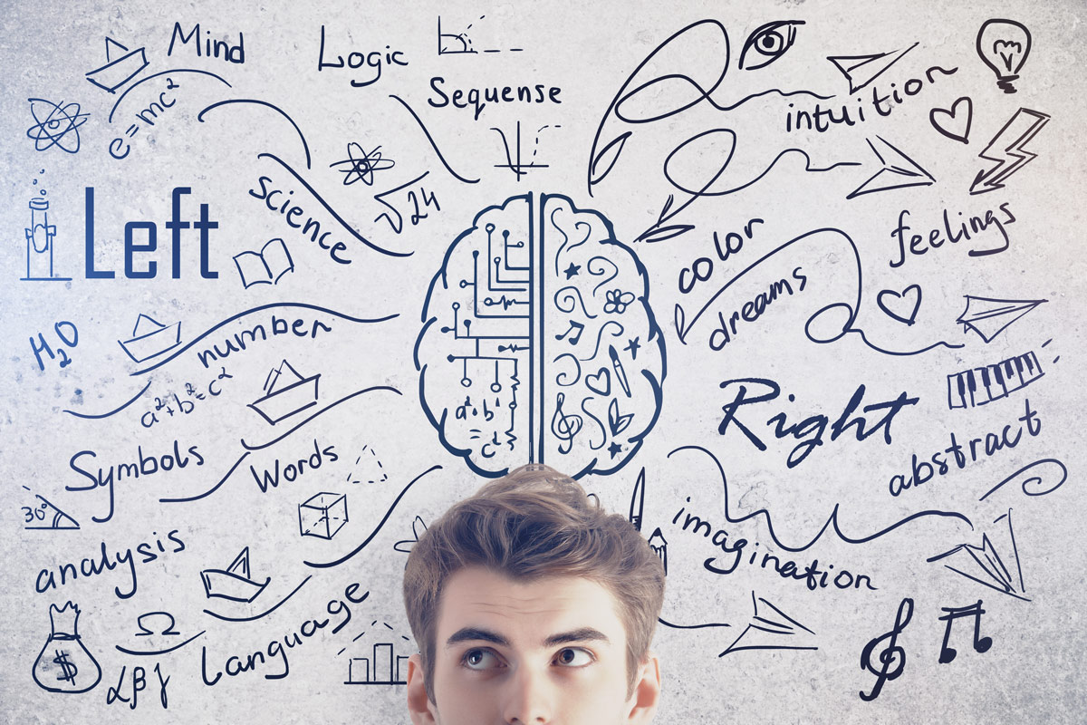 Man standing by a drawing of right and left brain