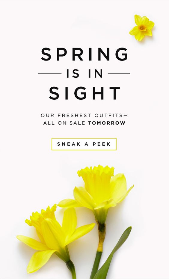 Eye-catching images in email design | APSIS Blog Eye-catching images in email design | APSIS Blog
