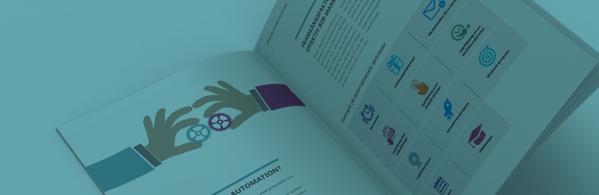 vad är marketing automation